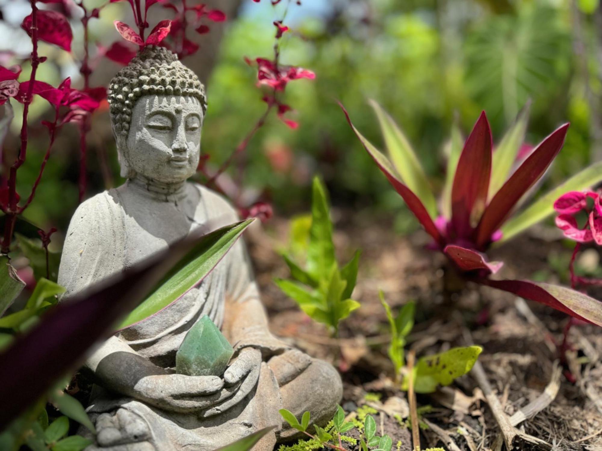 Tropical Zen Bungalow パホア エクステリア 写真
