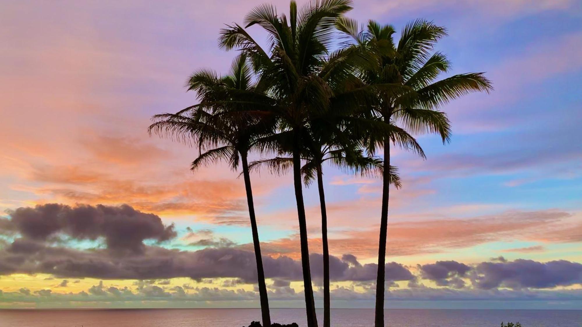 Tropical Zen Bungalow パホア エクステリア 写真