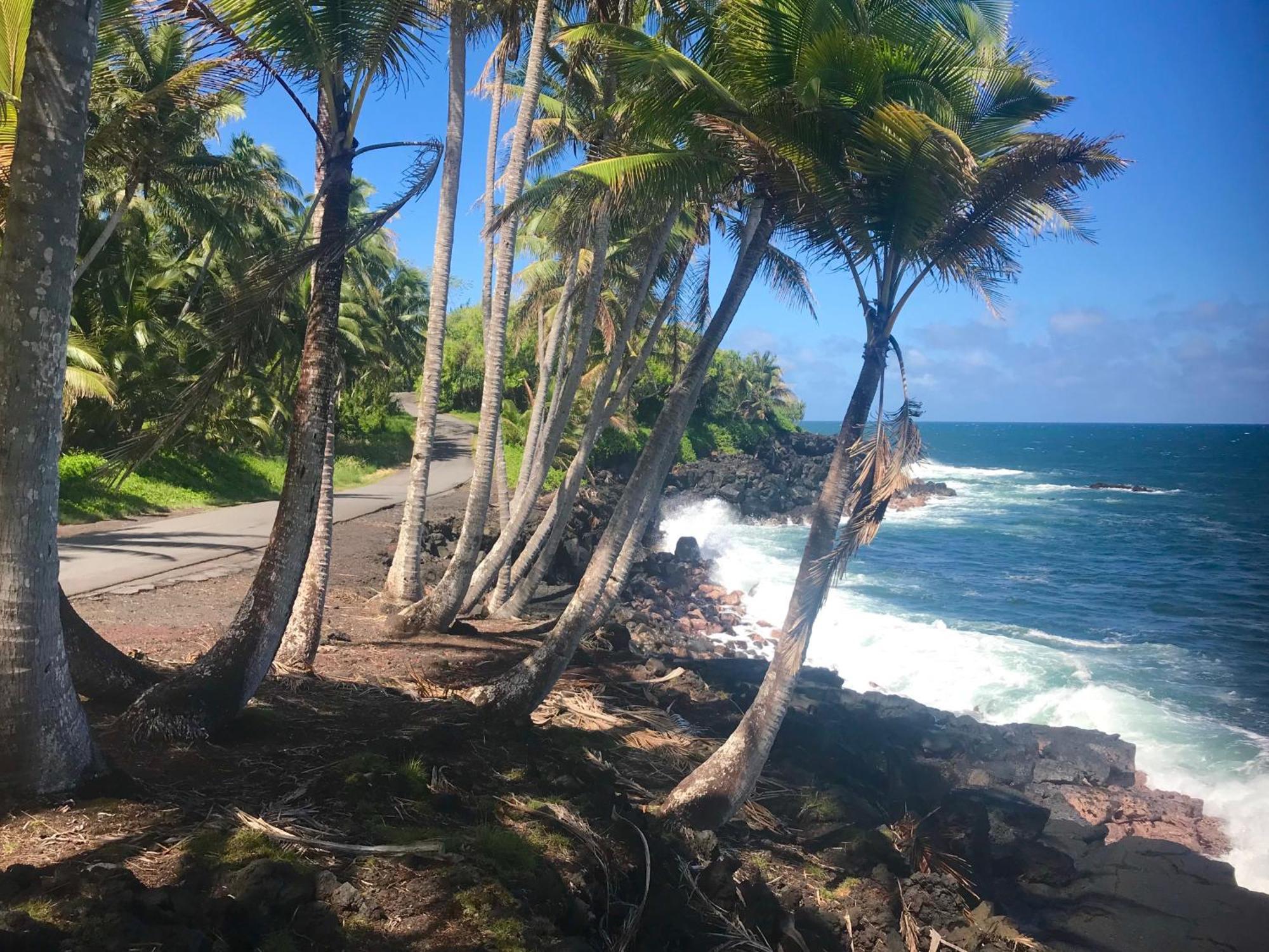 Tropical Zen Bungalow パホア エクステリア 写真