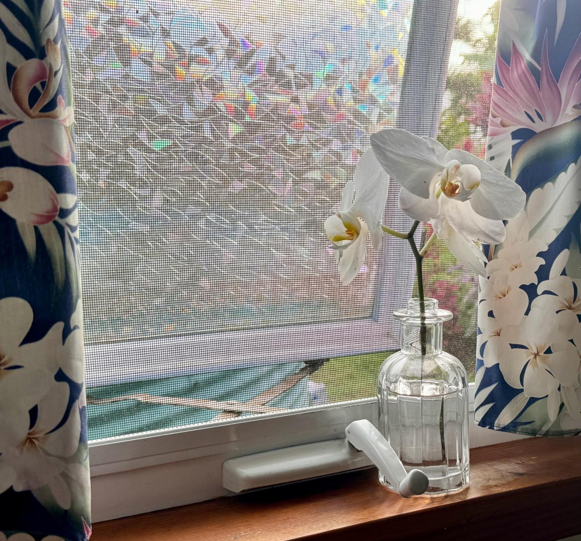 Tropical Zen Bungalow パホア エクステリア 写真